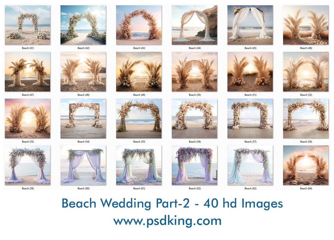 Beach Wedding Backdrop