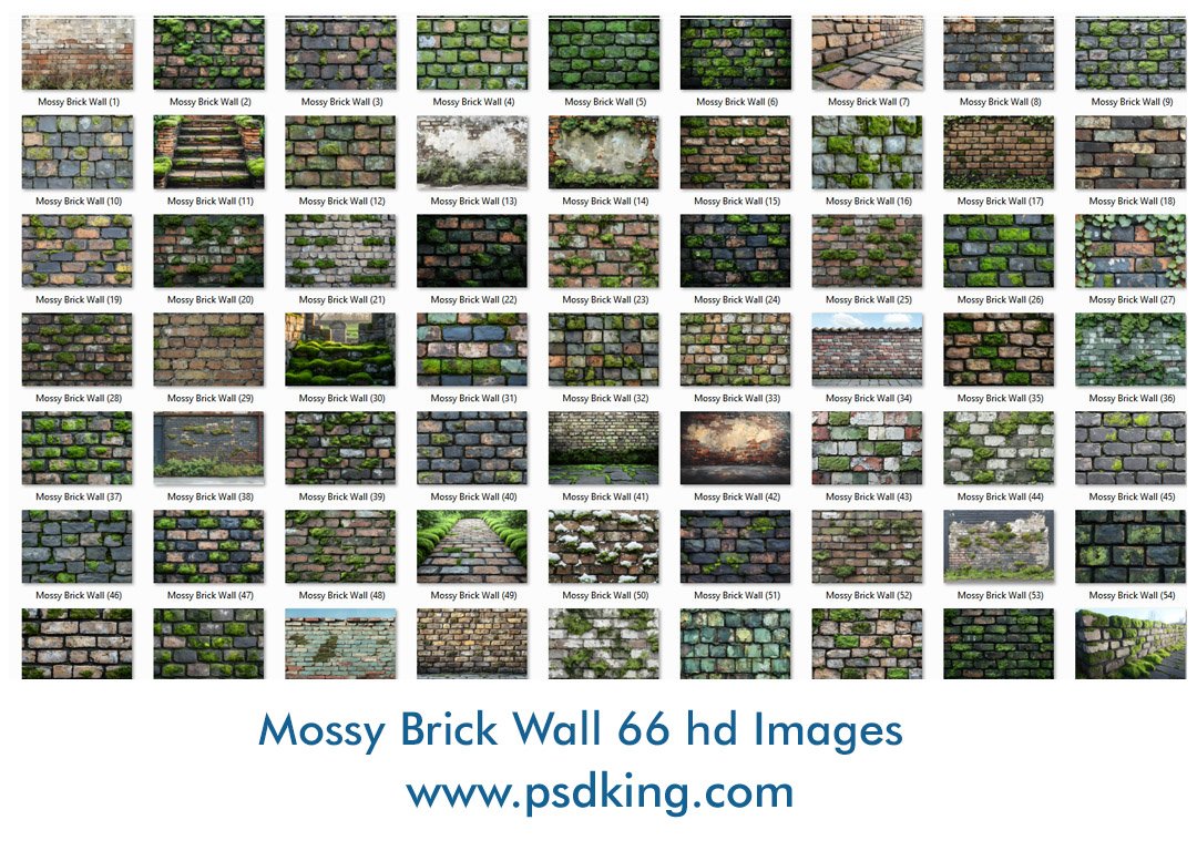 Mossy Brick Wall Backdrop