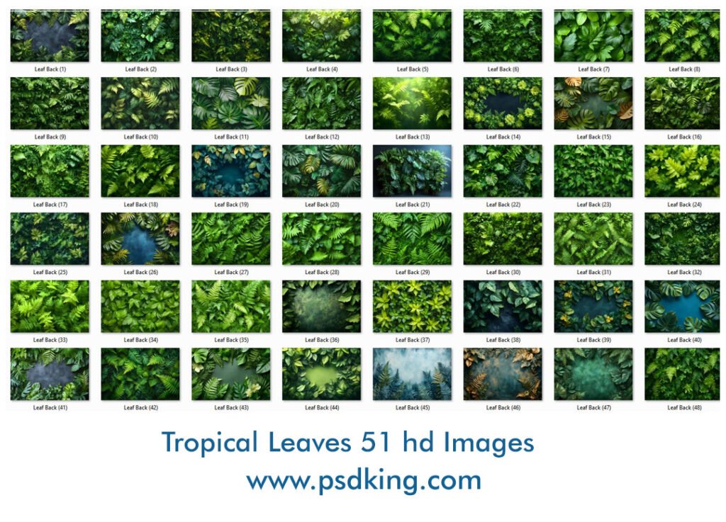 Tropical Leaves